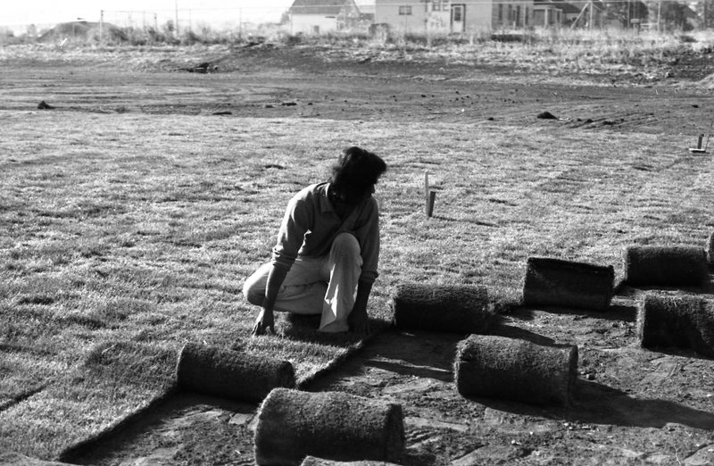 1981 Football Field, New Grass 09