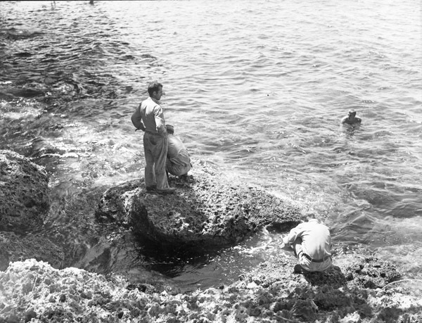 Ie Shima, Swimming