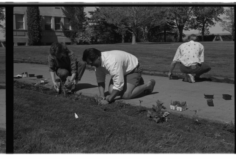 1989 Employees, Planting 23