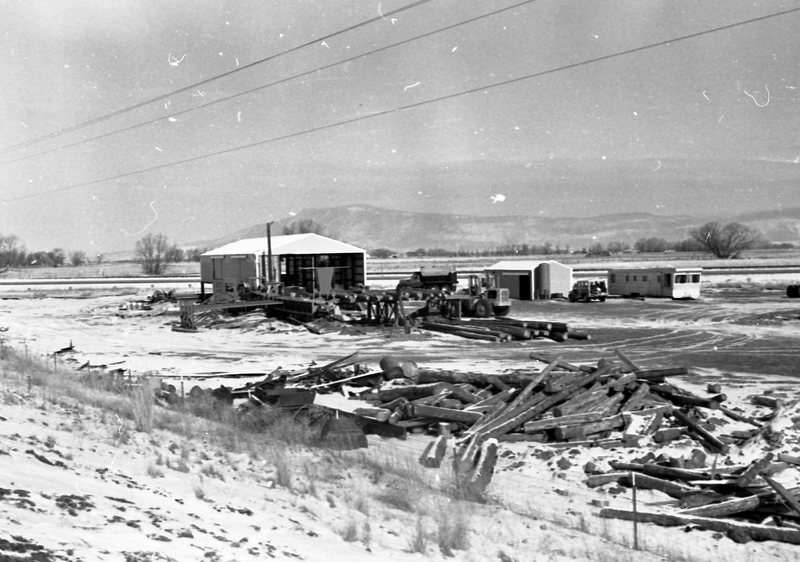 1980 Log Plant 13