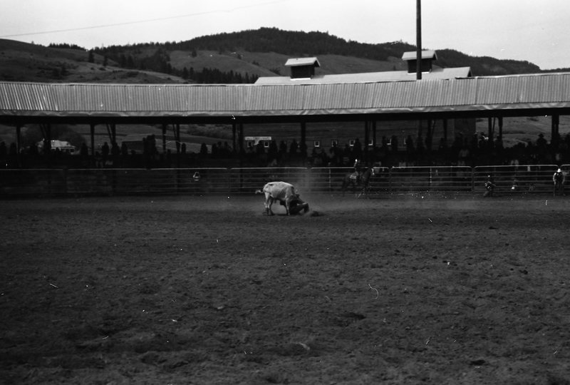 1981 Rodeo, Bulldogging 06