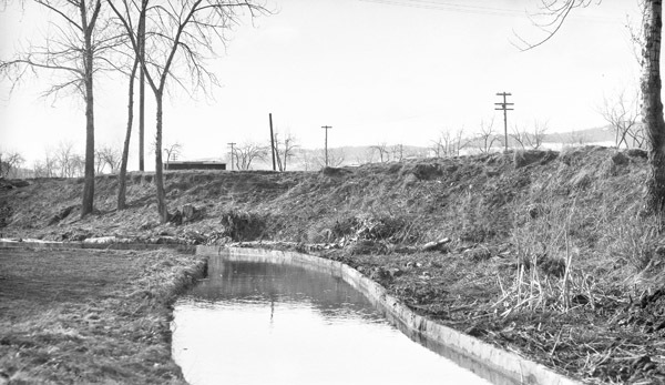 Island City, Country Club 3