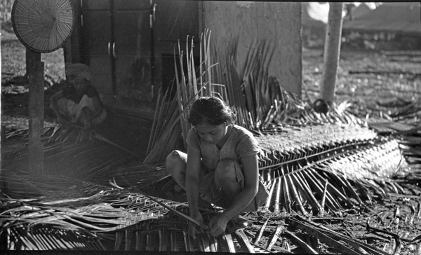 Leyte Local Braiding Thatch 1