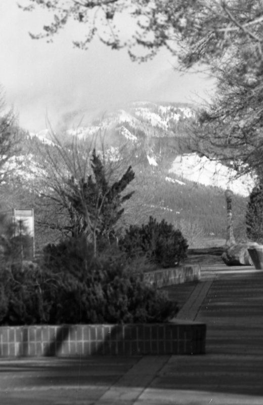 1987 Campus, Planting Beds 01