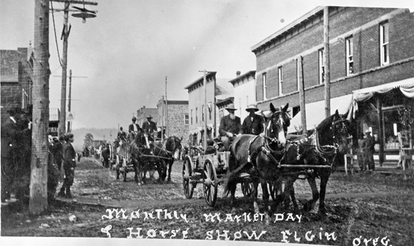 Elgin, Monthly Market Day