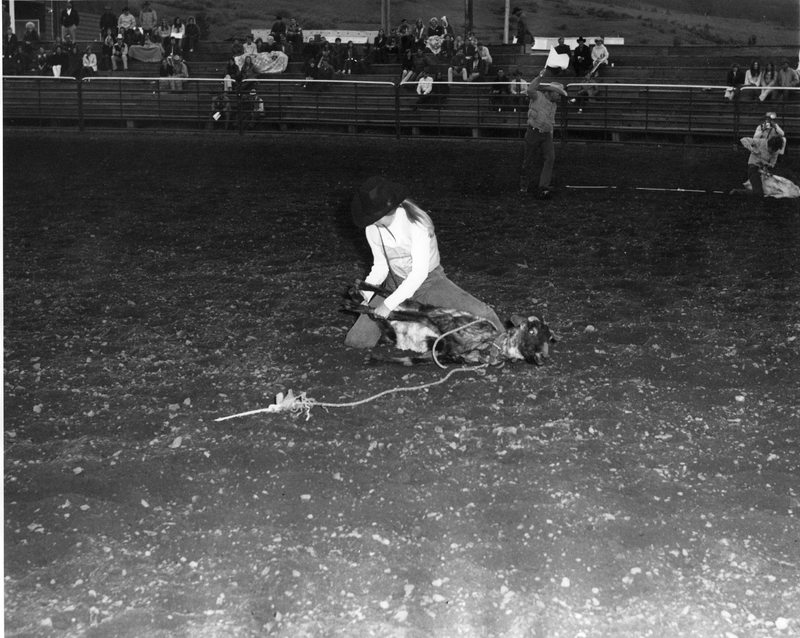 80's Rodeo, Roping 6