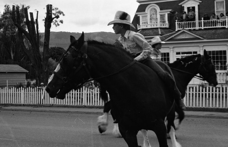 1981 Eastern Oregon Livestock Parade, Horses & Riders 25