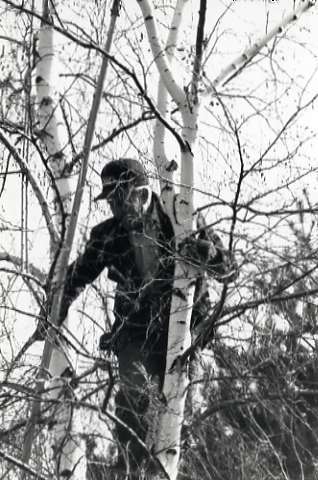 1990 Employee, Tree Trimming 1-3