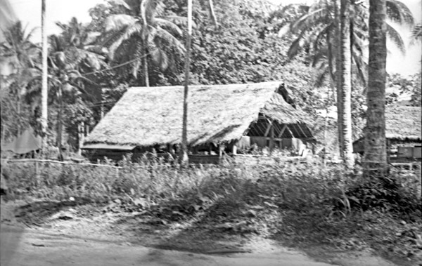 Dobodura Camp 4