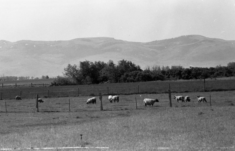 1982 Grande Ronde Valley, Farms 10