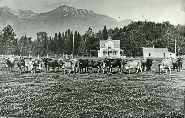 Wallowa County, Riverview Dairy