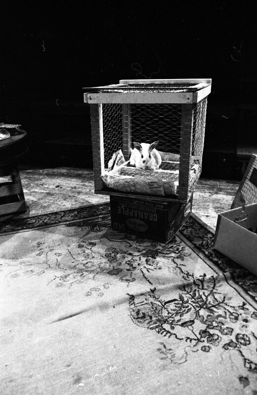 1974 Theatre, Rabbit 07