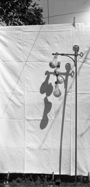 Photo Class Project 4