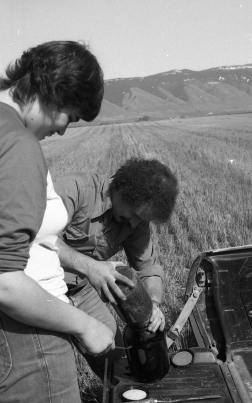 1980 Agriculture Study 06