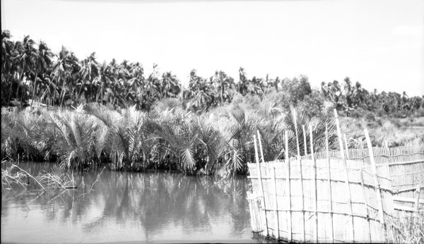 Binmaley, Fish Trap 5