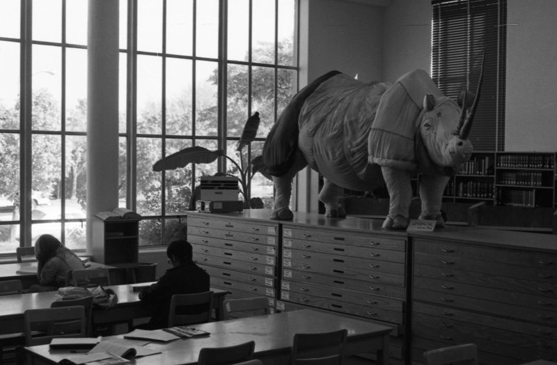 1978 Walter M. Pierce Library, Usage 01