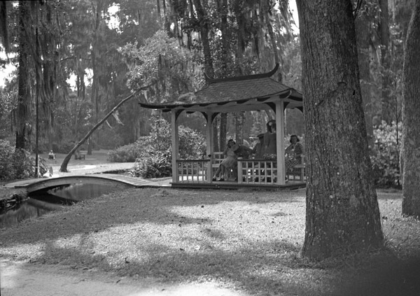 St. Augustine 24