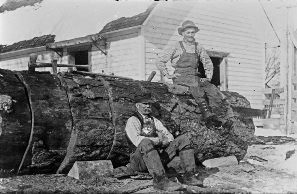 Oregon, Loggers