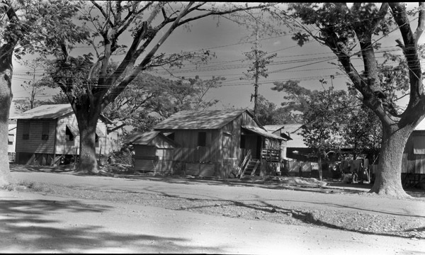 Mindoro, Sugar Plantation 7