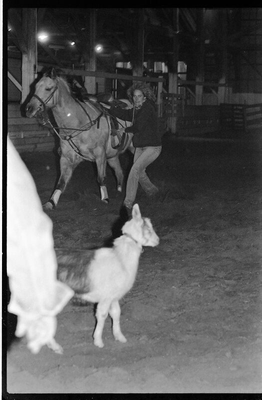 1991 Rodeo, Roping Practice 07