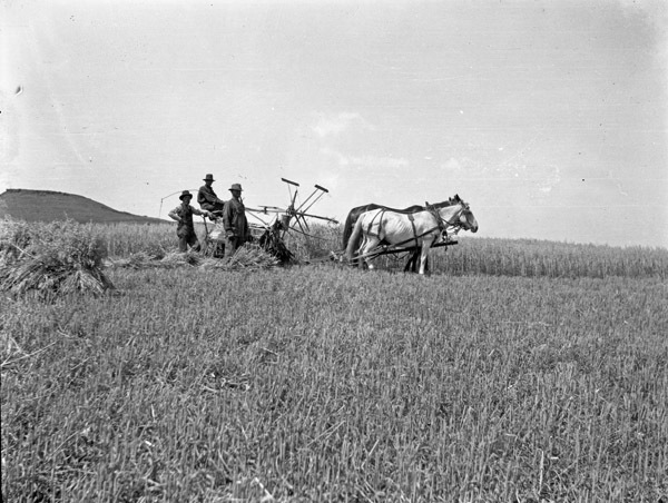 Farming 1