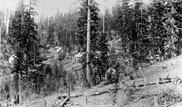 Sanger Mine, Camp