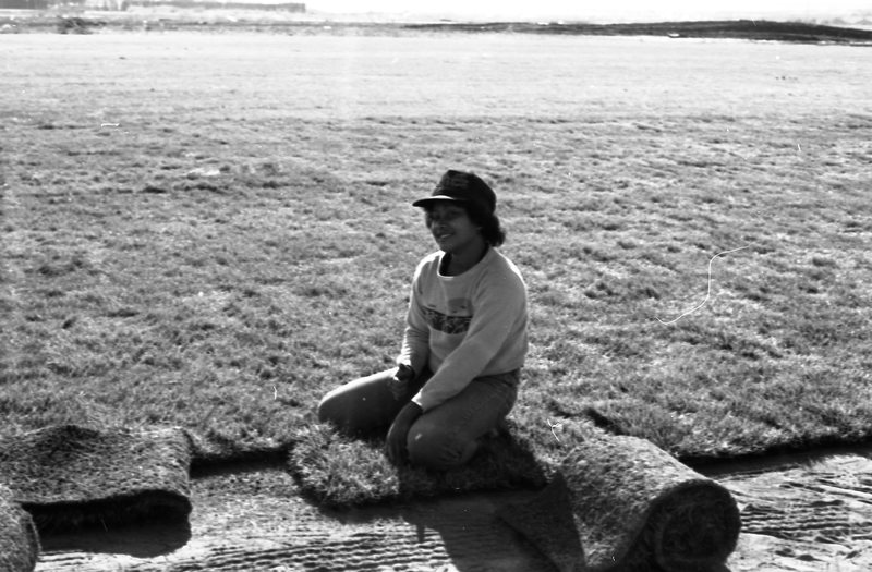 1981 Football Field, New Grass 02