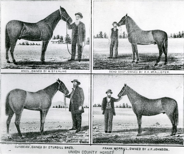 Art, Horses