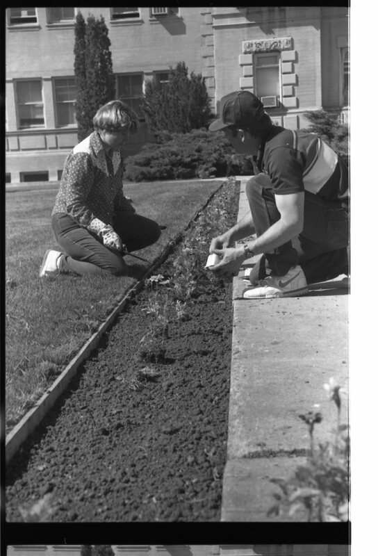1989 Employees, Planting 20