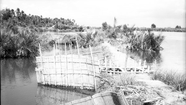 Binmaley, Fish Trap 4
