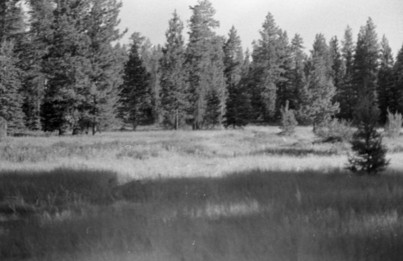 1981 Wallowa Mt. Field Station 52