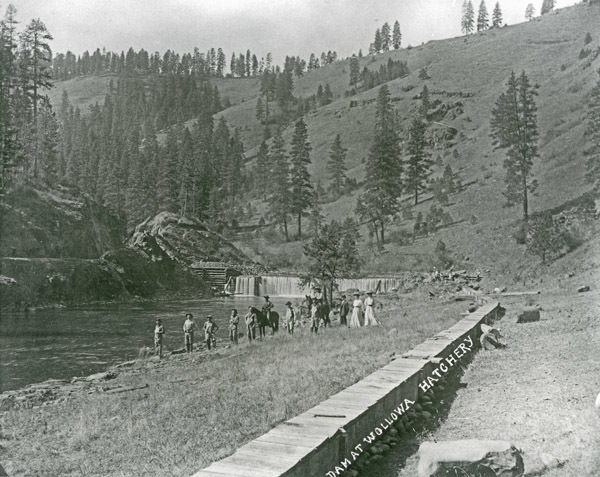 Wallowa, Dam &amp; Hatchery