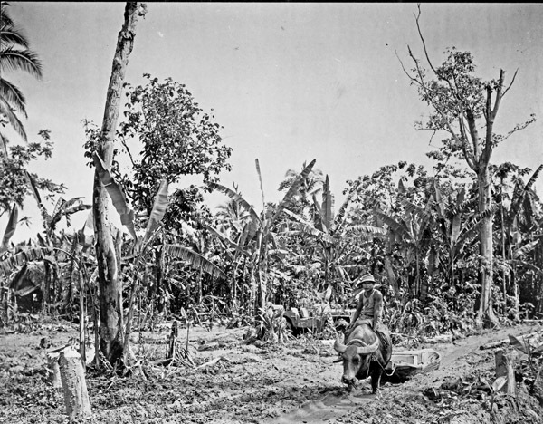 Leyte, Mud Boat 1