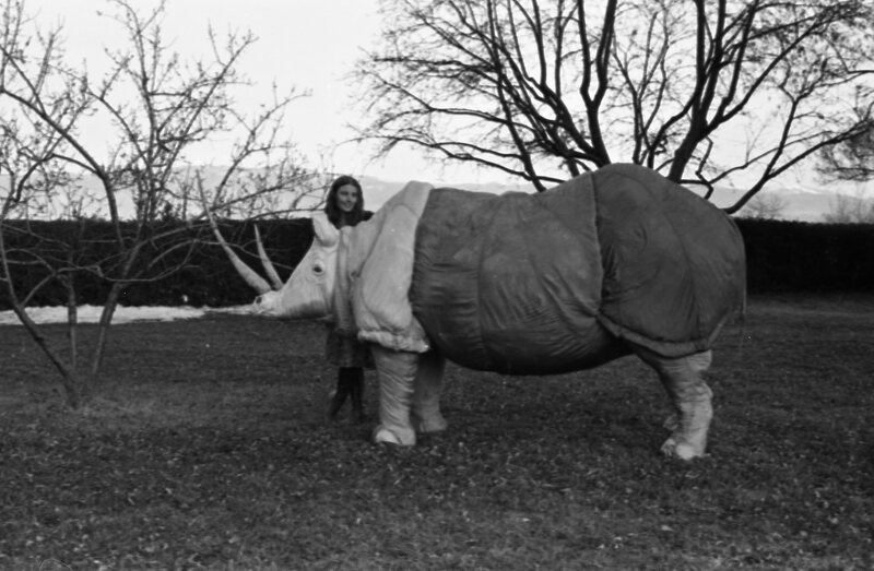 1977 Sculpture, Rhino 04