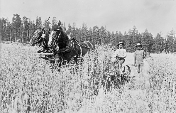 Union County, Farming 1