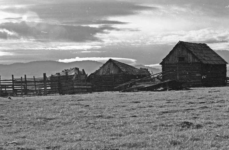 1985 Agriculture, Ranch 03