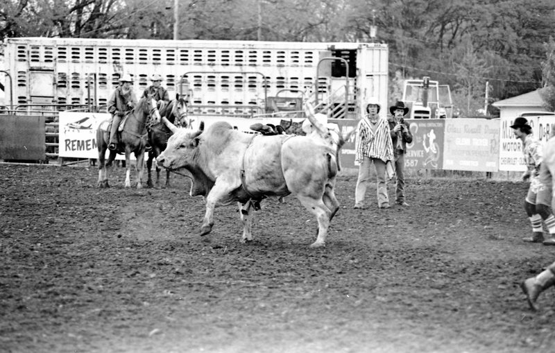 1978 Rodeo, Bull Riding 01