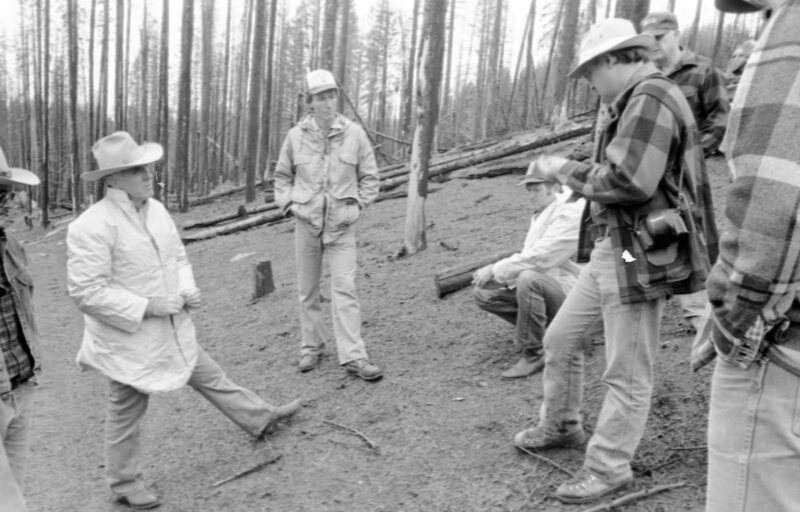 1987 Field Trip, Forest 16