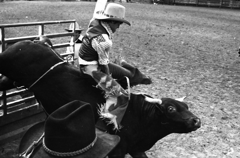 1981 Rodeo, Bull Riding 03