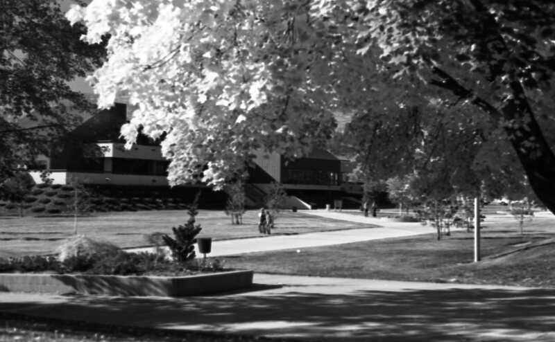 1977 Campus in Autumn 04