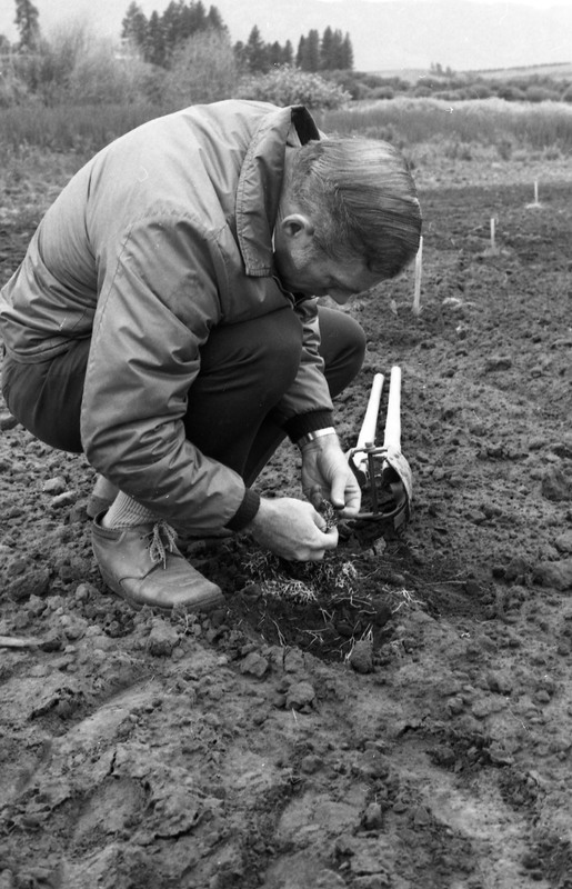 1980 Agriculture Study 16