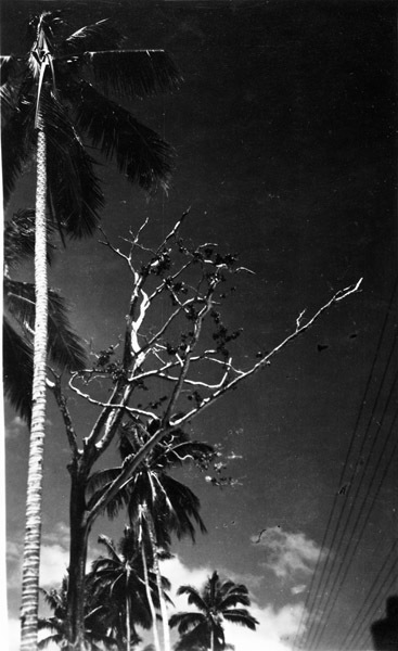 Art, Branches 3