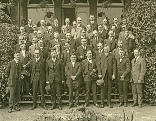 Portrait - Veterinary Group