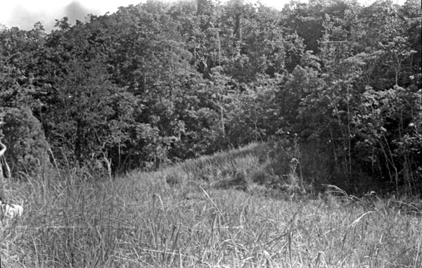 Dobodura Jungle 6