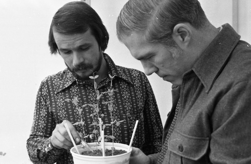 1979 Agriculture, Range Study 05