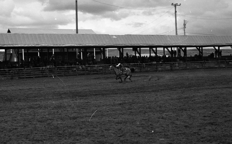 1982 EOSC Rodeo, Women's Barrel Racing 03
