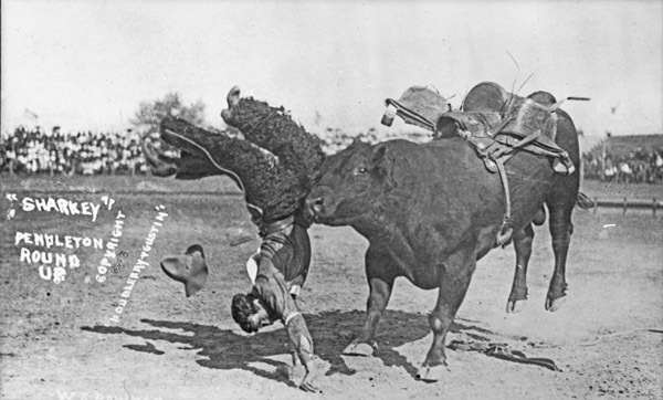 Rodeo, Bull Riding 1