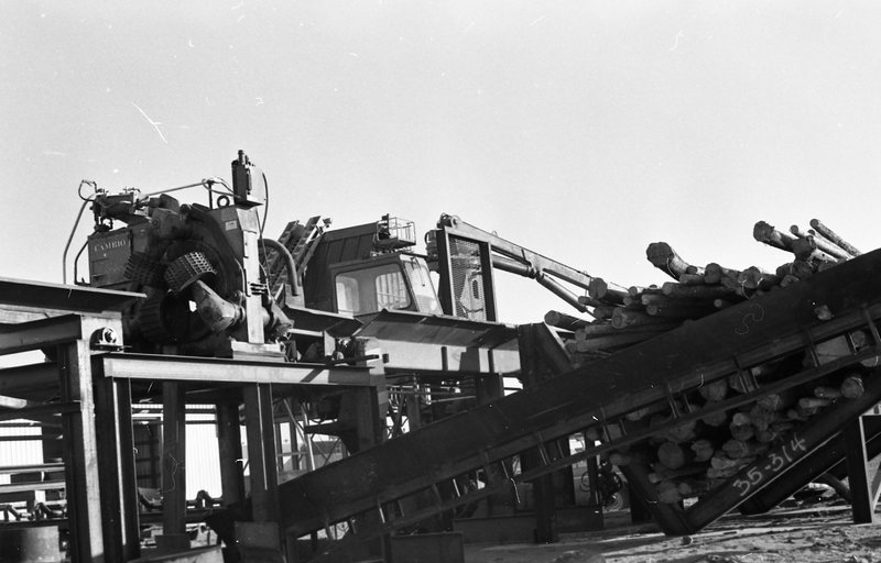 1980 Log Plant 09
