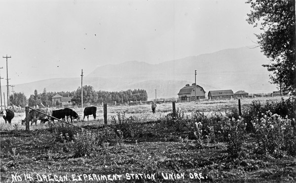 Union, Experiment Station 2