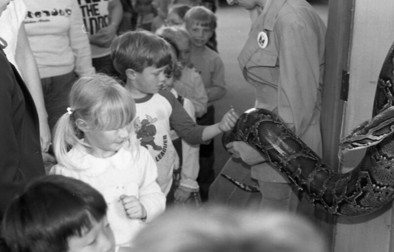 1985 Ackerman Elementary School, Safari 03